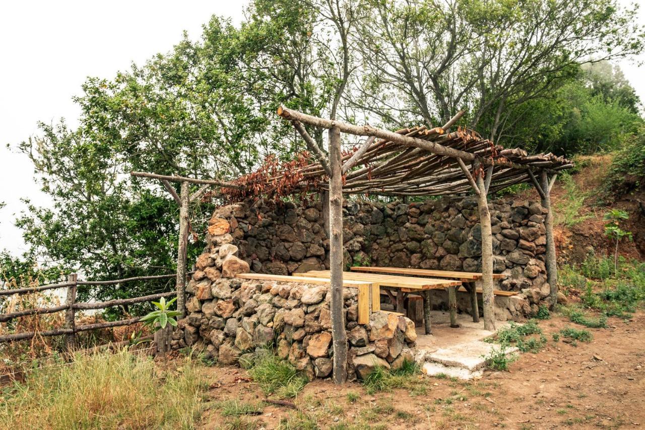 El Pino Centenario 8 La Orotava Kültér fotó