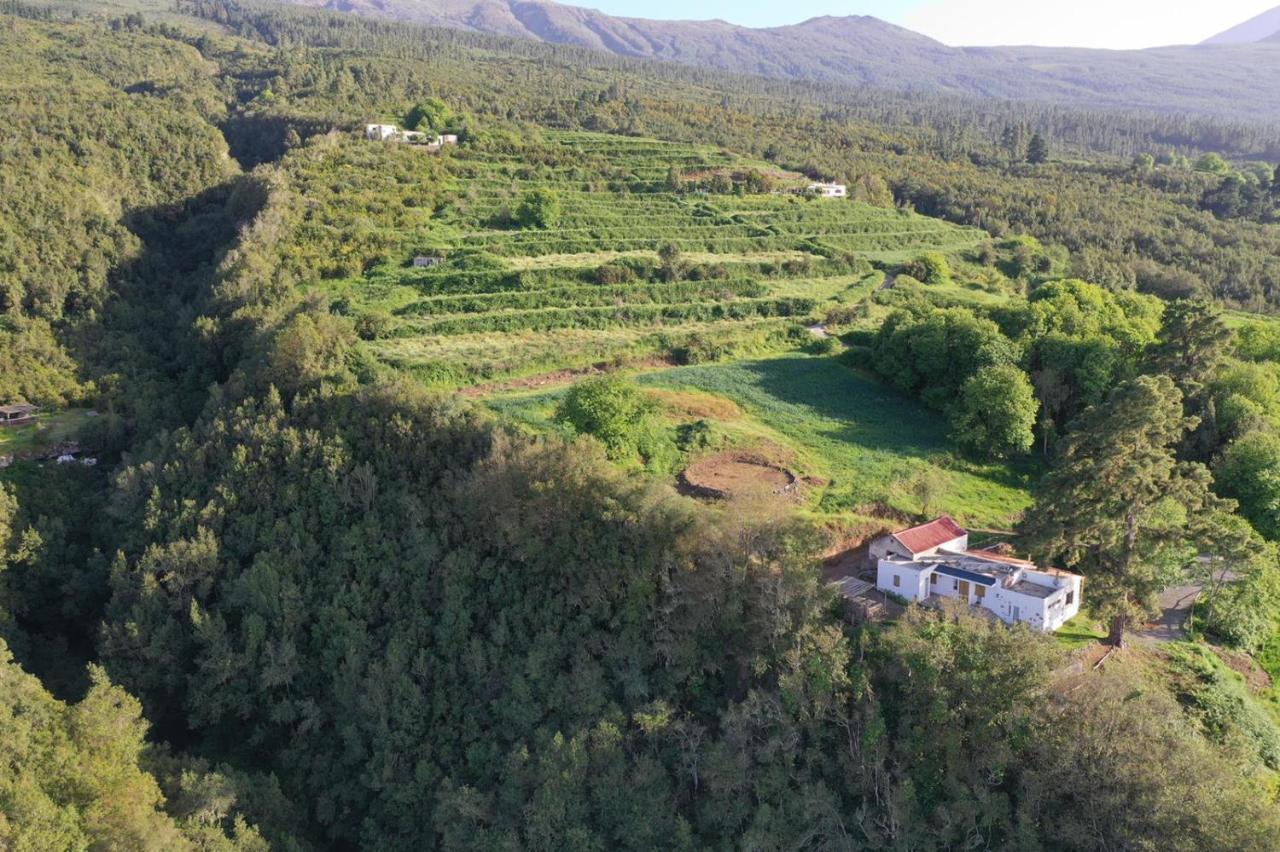 El Pino Centenario 8 La Orotava Kültér fotó