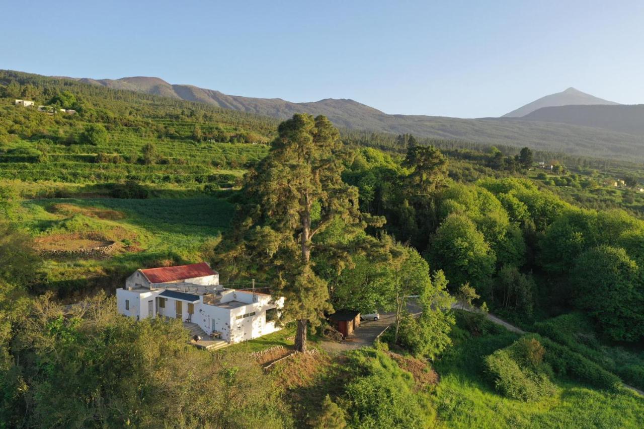 El Pino Centenario 8 La Orotava Kültér fotó